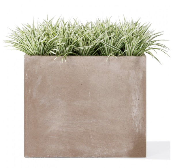 Grass: Zebra Grass in Urbano Rectangle Planter, SM by Gold Leaf Design Group | Planters, Troughs & Cachepots | Modishstore-2