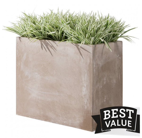 Grass: Zebra Grass in Urbano Rectangle Planter, SM by Gold Leaf Design Group | Planters, Troughs & Cachepots | Modishstore