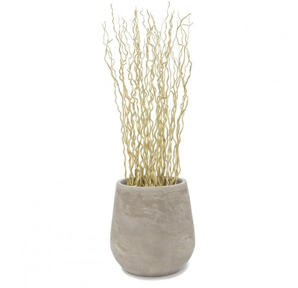 Bleached Kuwa in Urbano Bell Planter, LG by Gold Leaf Design Group | Botanicals | Modishstore