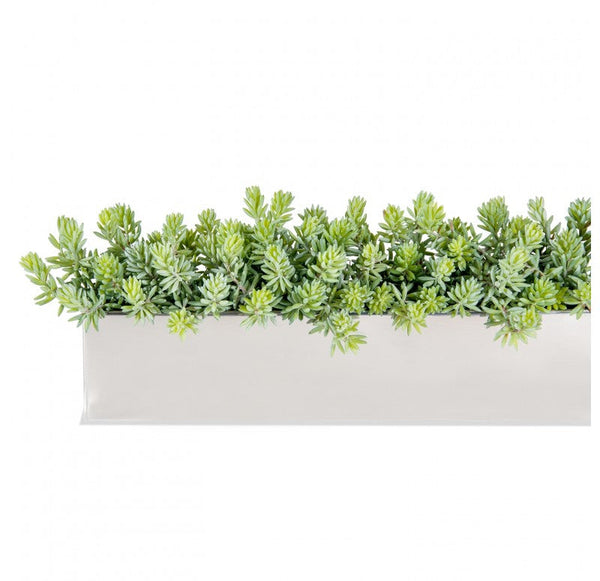 Stainless Steel Table Planter, Sedum Album by Gold Leaf Design Group | Planters, Troughs & Cachepots | Modishstore-2