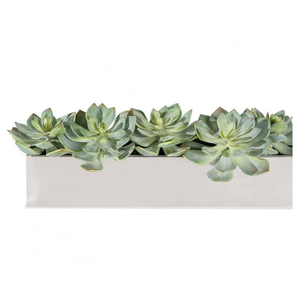 Stainless Steel Table Planter, Ghost Grapto by Gold Leaf Design Group | Planters, Troughs & Cachepots | Modishstore