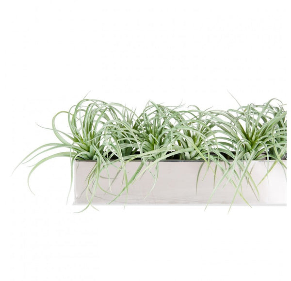 Stainless Steel Table Planter, Grey Tillandsia by Gold Leaf Design Group | Planters, Troughs & Cachepots | Modishstore-2