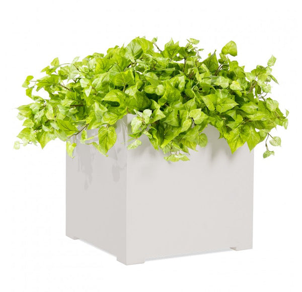 Outdoor: Cube Planter w/ Potato Vine by Gold Leaf Design Group | Outdoor Planters, Troughs & Cachepots | Modishstore-2