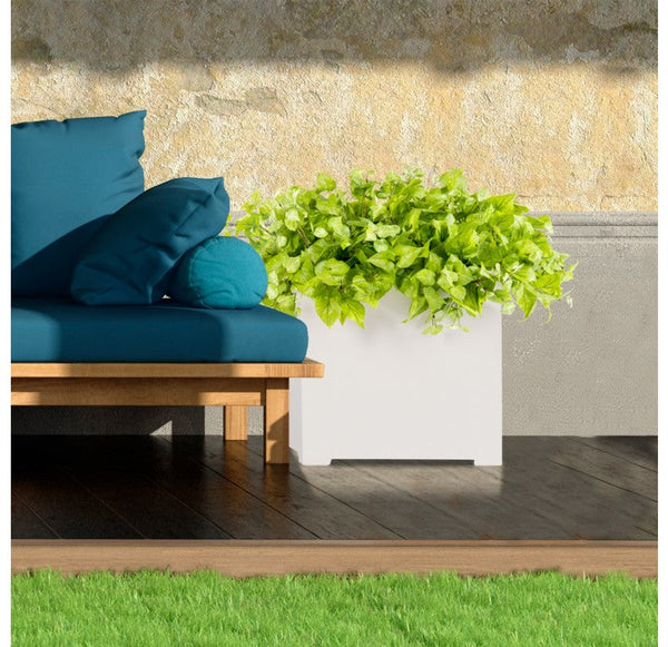 Outdoor: Cube Planter w/ Potato Vine by Gold Leaf Design Group | Outdoor Planters, Troughs & Cachepots | Modishstore