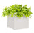 Outdoor: Cube Planter w/ Potato Vine by Gold Leaf Design Group | Outdoor Planters, Troughs & Cachepots | Modishstore-2