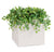 Outdoor: Cube Planter w/ Ivy, Green | Outdoor Planters, Troughs & Cachepots | Modishstore