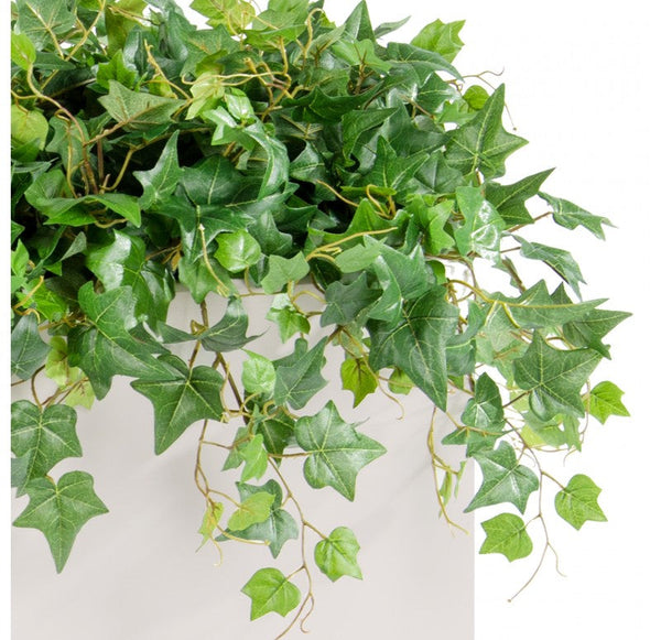Outdoor: Cube Planter w/ Ivy, Green | Outdoor Planters, Troughs & Cachepots | Modishstore-2