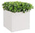 Outdoor: Planter w/ Variegated Pittosporum by Gold Leaf Design Group | Outdoor Planters, Troughs & Cachepots | Modishstore-2