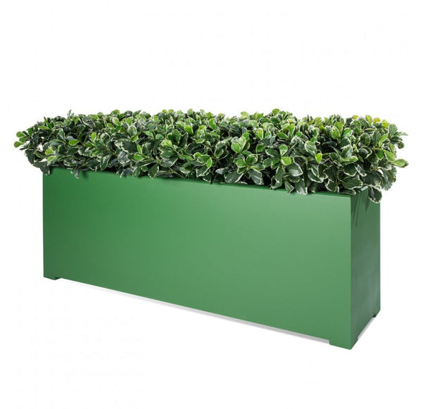 Outdoor: Green Planter w/ Variegated Pittosporum by Gold Leaf Design Group | Outdoor Planters, Troughs & Cachepots | Modishstore-2
