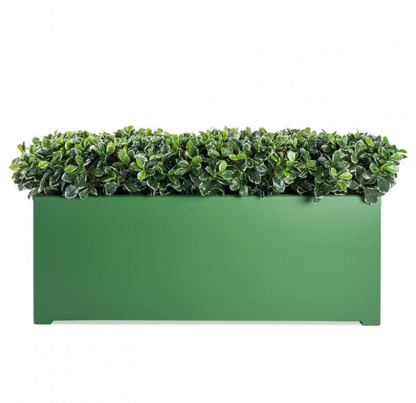 Outdoor: Green Planter w/ Variegated Pittosporum by Gold Leaf Design Group | Outdoor Planters, Troughs & Cachepots | Modishstore