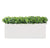 Outdoor: Planter w/ Variegated Pittosporum by Gold Leaf Design Group | Outdoor Planters, Troughs & Cachepots | Modishstore-5