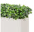 Outdoor: Planter w/ Variegated Pittosporum by Gold Leaf Design Group | Outdoor Planters, Troughs & Cachepots | Modishstore-6