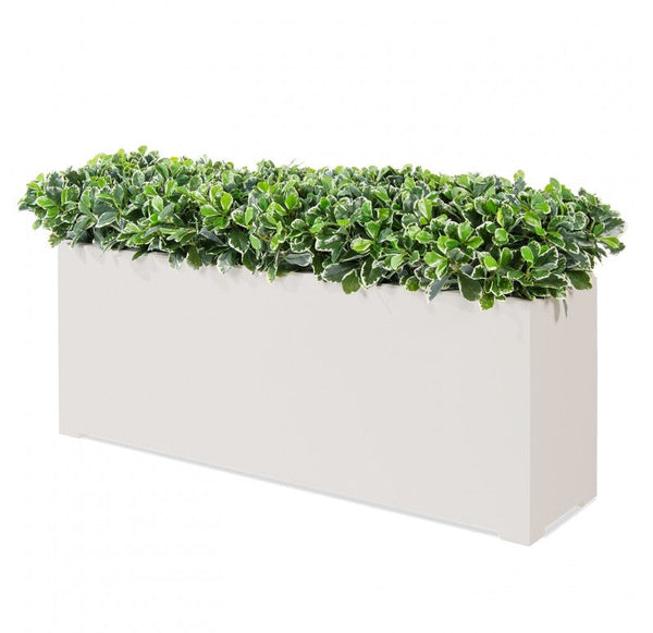 Outdoor: Planter w/ Variegated Pittosporum by Gold Leaf Design Group | Outdoor Planters, Troughs & Cachepots | Modishstore-4