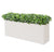 Outdoor: Planter w/ Variegated Pittosporum by Gold Leaf Design Group | Outdoor Planters, Troughs & Cachepots | Modishstore-4