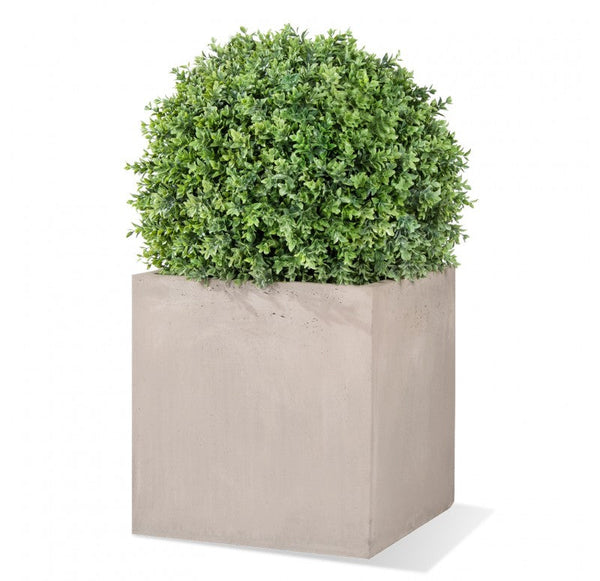 Boxwood Ball in Urbano Cube, 20