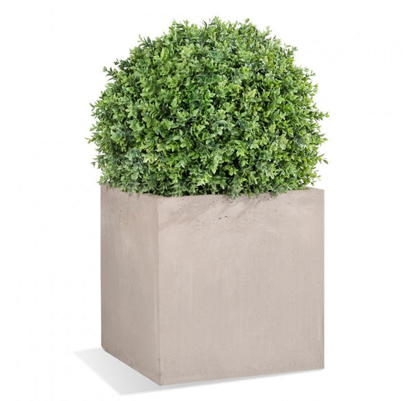Boxwood Ball in Urbano Cube, 20