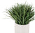 Grass: Liriope in Linea Planter by Gold Leaf Design Group | Planters, Troughs & Cachepots | Modishstore-2
