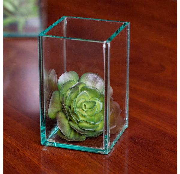 Echeveria Mini in Glass Terrarium ( Set of 4) by Gold Leaf Design Group | Glass Terrariums | Modishstore