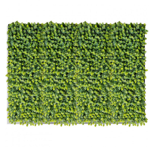 Green Wall, Sedum Album, 28