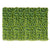 Green Wall, Sedum Album, 28
