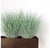 Grass: Bear Grass in DK Walnut Linear Planter by Gold Leaf Design Group | Planters, Troughs & Cachepots | Modishstore