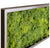 Green Wall, 'Art Moss Linear' by Gold Leaf Design Group | Green Wall | Modishstore-2