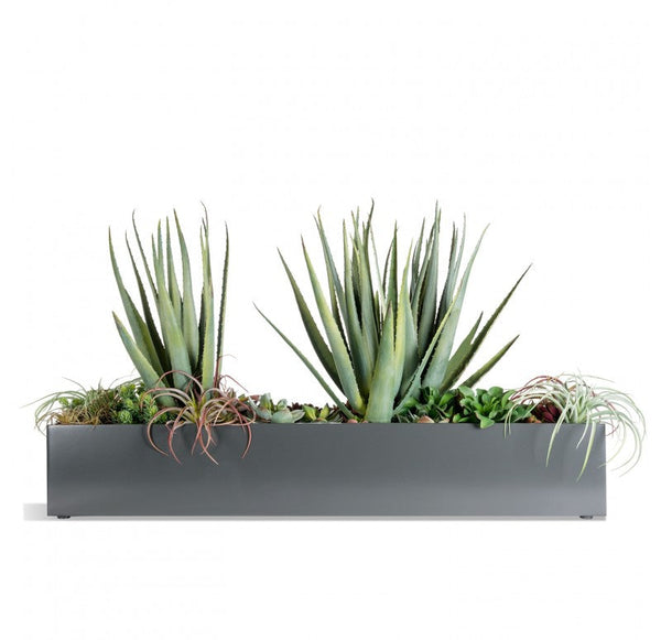 California Mix 2 in Linear Planter by Gold Leaf Design Group | Planters, Troughs & Cachepots | Modishstore