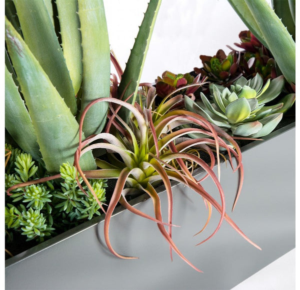 California Mix 2 in Linear Planter by Gold Leaf Design Group | Planters, Troughs & Cachepots | Modishstore-3