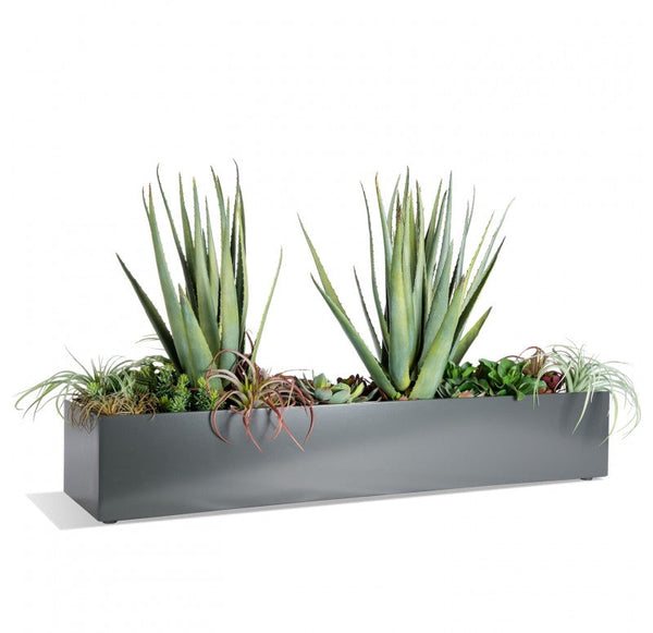 California Mix 2 in Linear Planter by Gold Leaf Design Group | Planters, Troughs & Cachepots | Modishstore-2