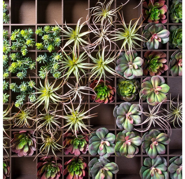 Green Wall, Pixelated Succulent by Gold Leaf Design Group | Green Wall | Modishstore-5