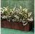 Rubber Plant Variegated, Linear Planter by Gold Leaf Design Group | Planters, Troughs & Cachepots | Modishstore