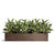 Rubber Plant Variegated, Linear Planter by Gold Leaf Design Group | Planters, Troughs & Cachepots | Modishstore-3