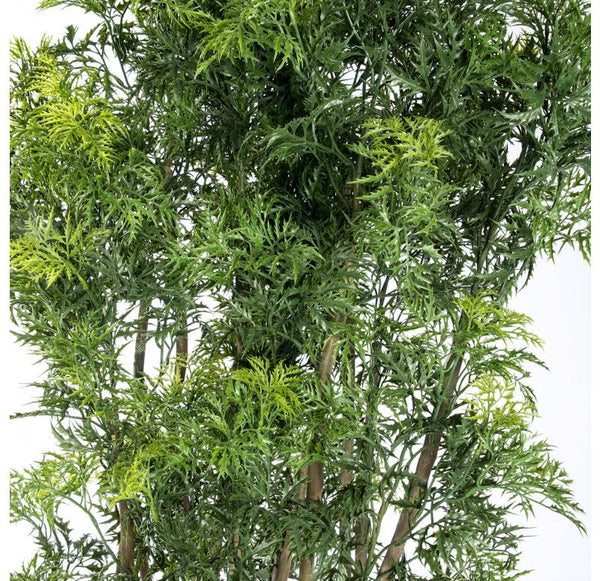 Ming Aralia in Piedra Planter, SM by Gold Leaf Design Group | Planters, Troughs & Cachepots | Modishstore-3