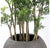 Ming Aralia in Piedra Planter, SM by Gold Leaf Design Group | Planters, Troughs & Cachepots | Modishstore-5