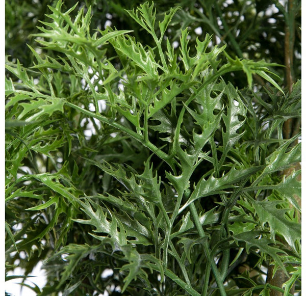 Ming Aralia in Piedra Planter, SM by Gold Leaf Design Group | Planters, Troughs & Cachepots | Modishstore-4