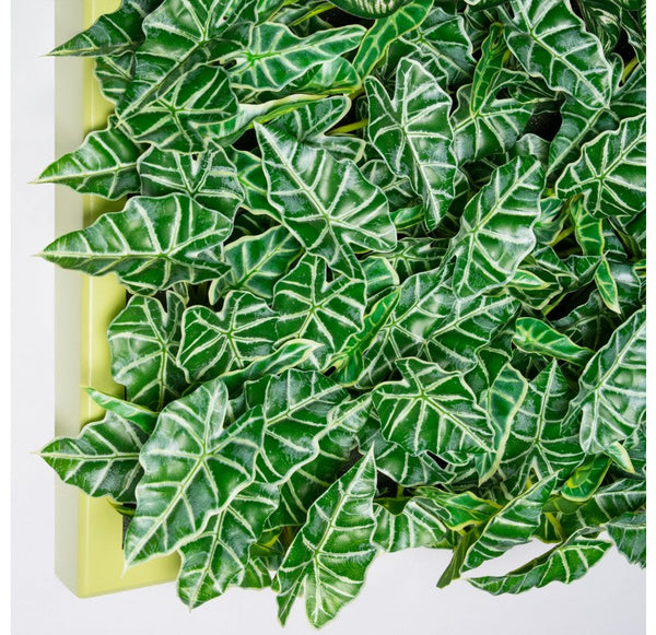 Outdoor, Green Wall, Tropical 40�SQ by Gold Leaf Design Group | Green Wall | Modishstore-3