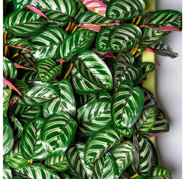 Outdoor, Green Wall, Tropical 40�SQ by Gold Leaf Design Group | Green Wall | Modishstore-4