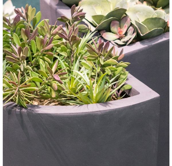 Jade/Yucca in Corner Planter, LG by Gold Leaf Design Group | Planters, Troughs & Cachepots | Modishstore-4