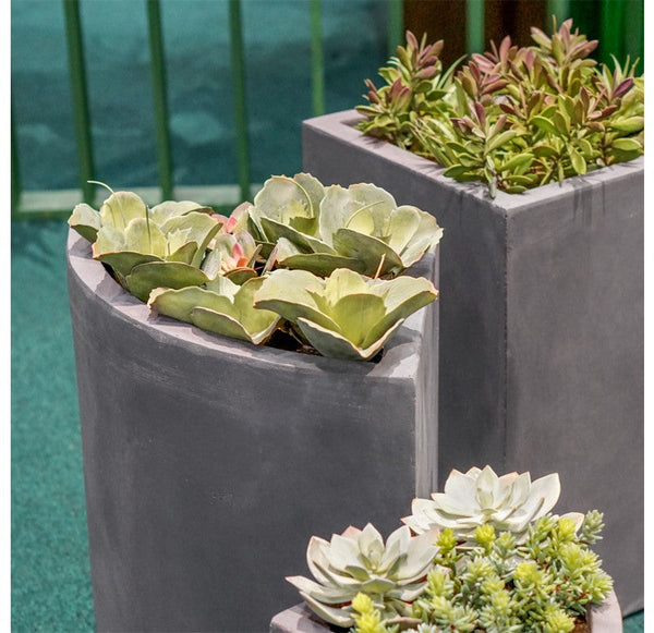 Jade/Yucca in Corner Planter, LG by Gold Leaf Design Group | Planters, Troughs & Cachepots | Modishstore-2