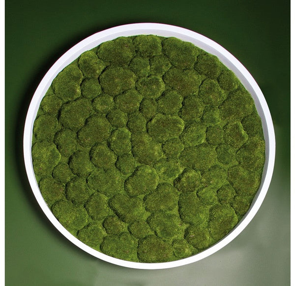Green Wall, 'Bun Moss', Round by Gold Leaf Design Group | Green Wall | Modishstore-2
