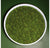 Green Wall, 'Bun Moss', Round by Gold Leaf Design Group | Green Wall | Modishstore-2