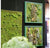 Green Wall, 'Woodland' by Gold Leaf Design Group | Green Wall | Modishstore-2