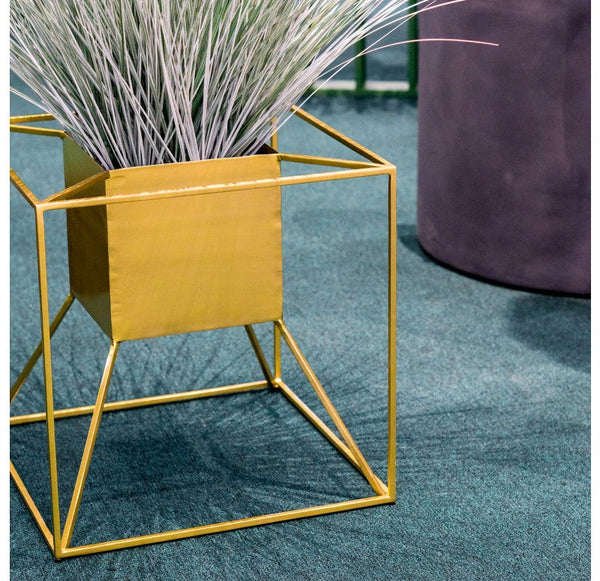 Grass: Bear Grass in Floating Planter by Gold Leaf Design Group | Planters, Troughs & Cachepots | Modishstore-4