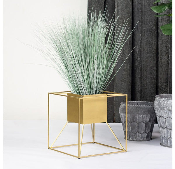 Grass: Bear Grass in Floating Planter by Gold Leaf Design Group | Planters, Troughs & Cachepots | Modishstore