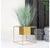 Grass: Bear Grass in Floating Planter by Gold Leaf Design Group | Planters, Troughs & Cachepots | Modishstore