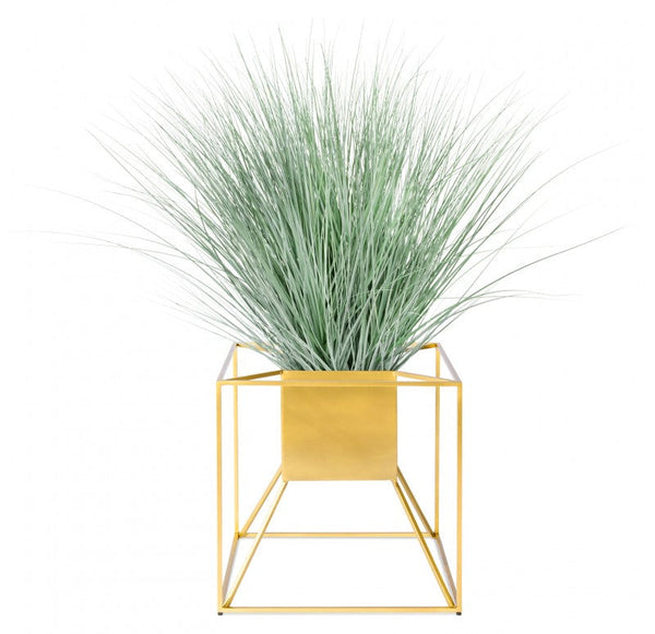 Grass: Bear Grass in Floating Planter by Gold Leaf Design Group | Planters, Troughs & Cachepots | Modishstore-5