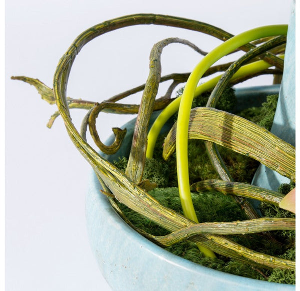 Anthurium in Tori Bowl by Gold Leaf Design Group | Decorative Bowls | Modishstore-4
