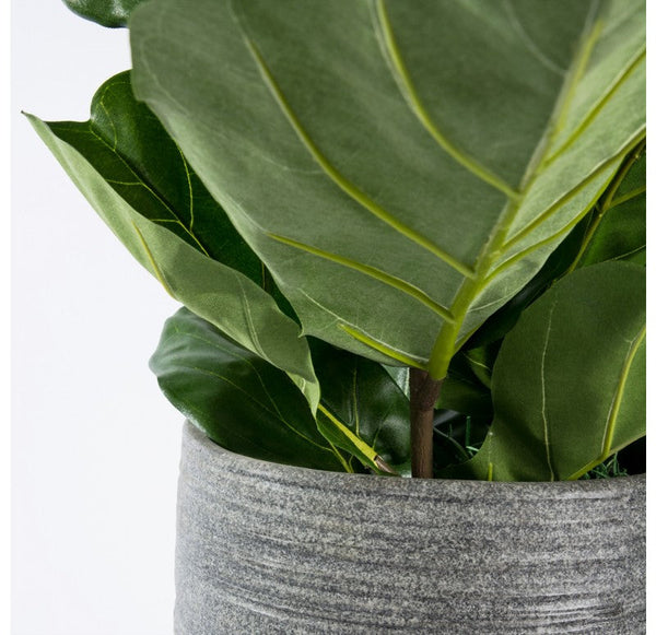 Fiddle Leaf in Ishi Planter, SM by Gold Leaf Design Group | Planters, Troughs & Cachepots | Modishstore-2