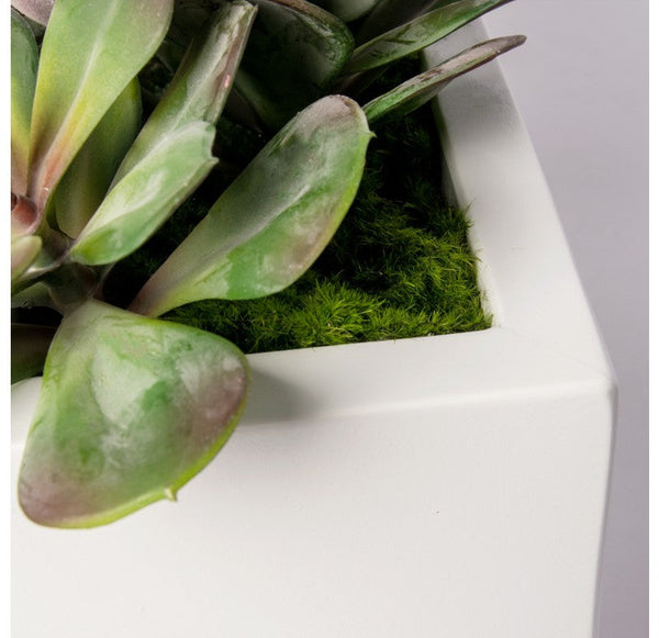 Desert Garden by Gold Leaf Design Group | Planters, Troughs & Cachepots | Modishstore-5