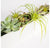 Desert Garden by Gold Leaf Design Group | Planters, Troughs & Cachepots | Modishstore-4